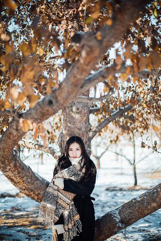 四面佛1-15集免费播放